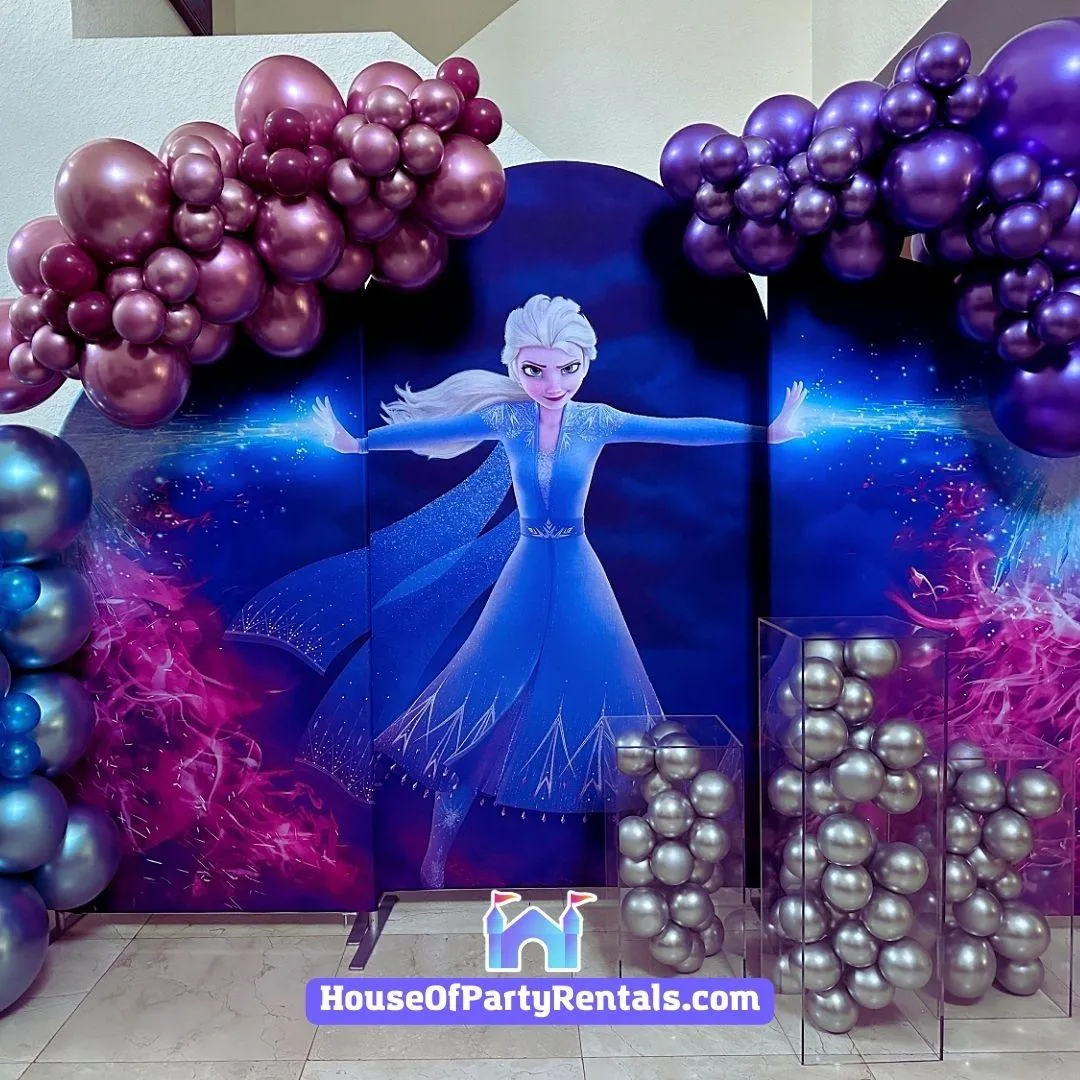 Get a Frozen Insprired Birthday Decoration - HouseOfPartyRentals