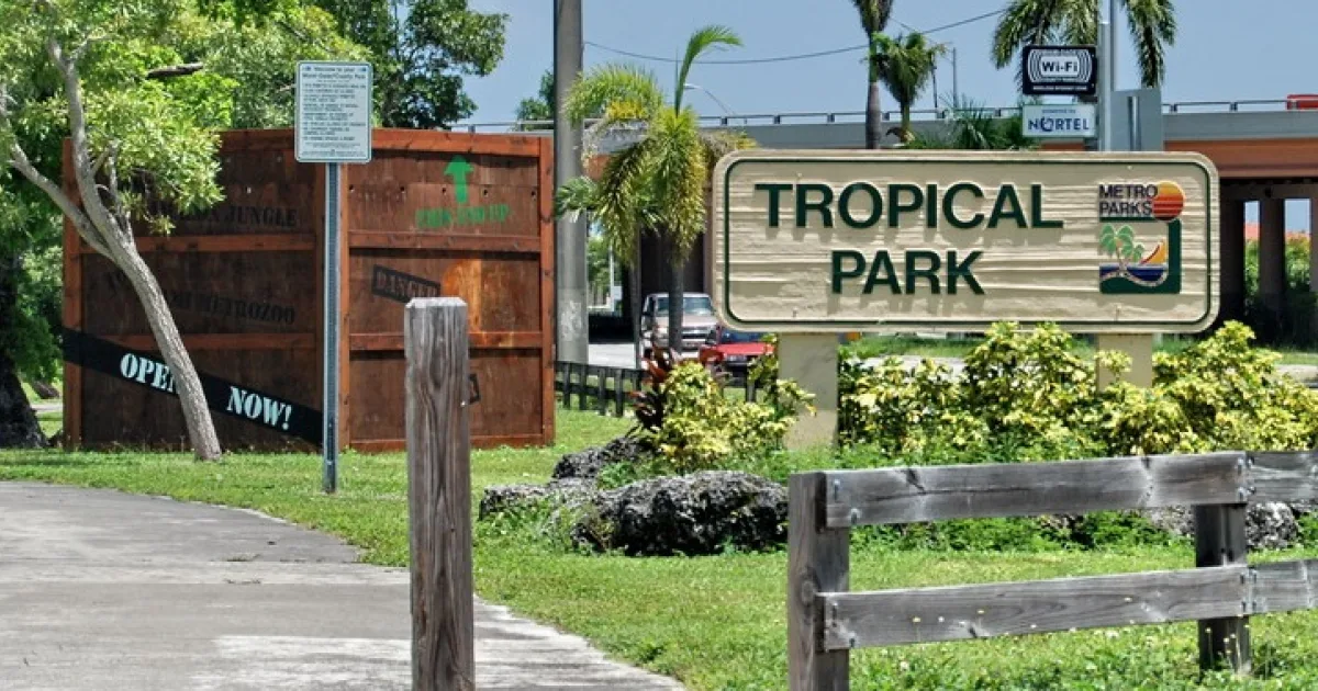 How to Throw a Party at Tropical Park in Miami: A Family Planning Guide