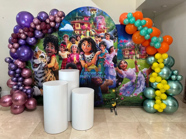 Encanto Birthday Decoration 3