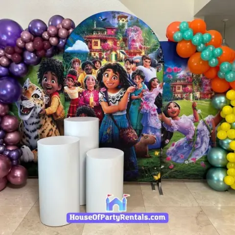 Encanto Birthday Decoration